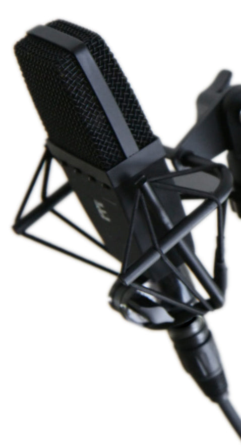 sE Electronics 4400a Large Diaphragm Multi-Pattern Condenser Mic