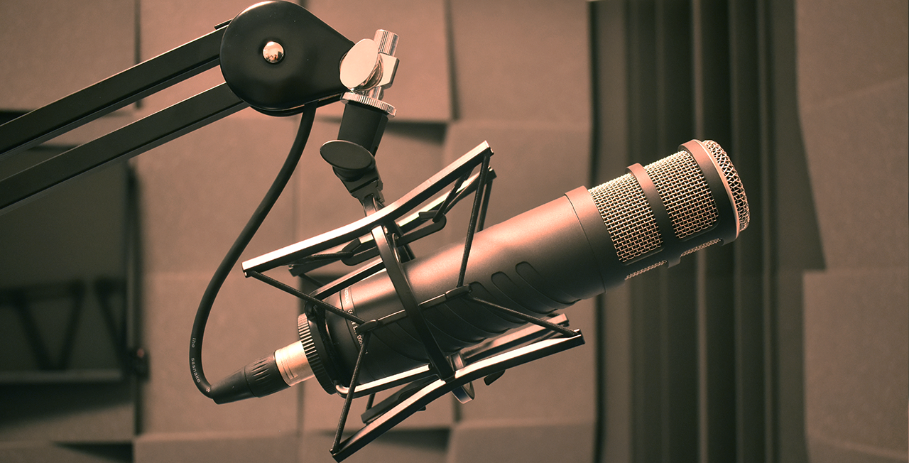 Rode Procaster Dynamic Microphone